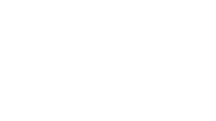 logo bime_reduce