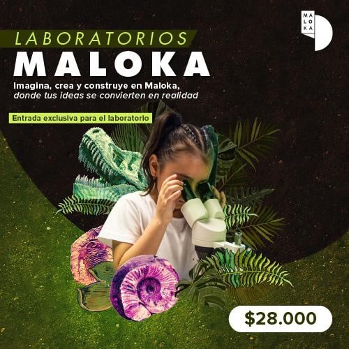 Horarios y tarifas 16 bfc6d528 6adc 4f8d 9235 ca56baa98acd