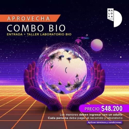 850e238d 72d5 4719 86aa 184deee07446 56